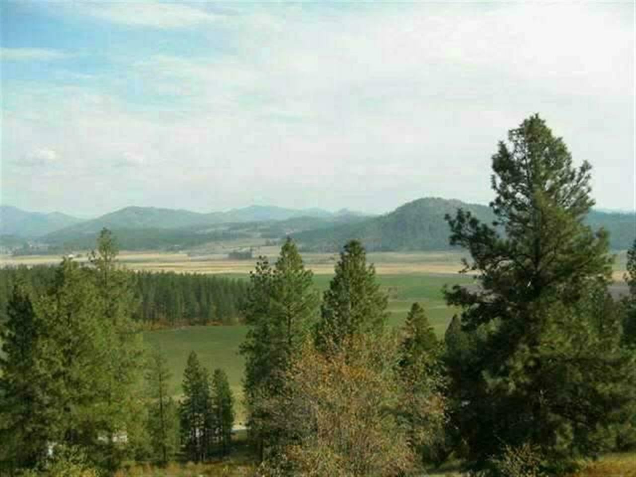 0 Farm To Market Road Chewelah, WA 99109 - Photo 1 of 1