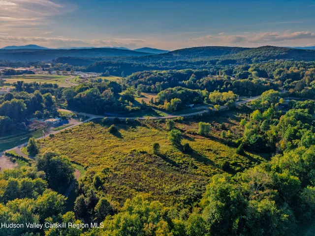 a view of a yard with a garden and mountain view