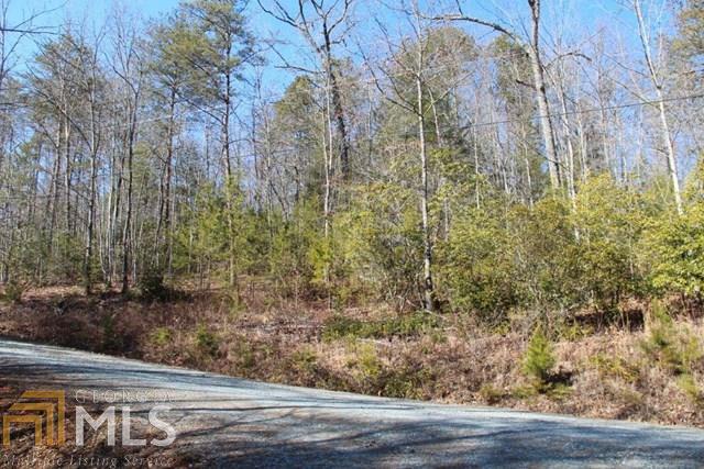0 North Hiawatha Trail Blue Ridge, GA 30513 - Photo 1 of 1