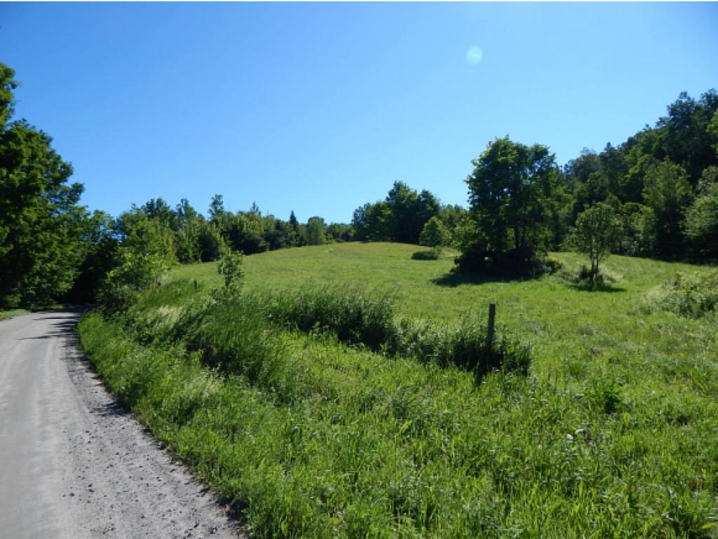 4304 East Hill Road Plainfield, VT 05667 - Photo 4 of 4