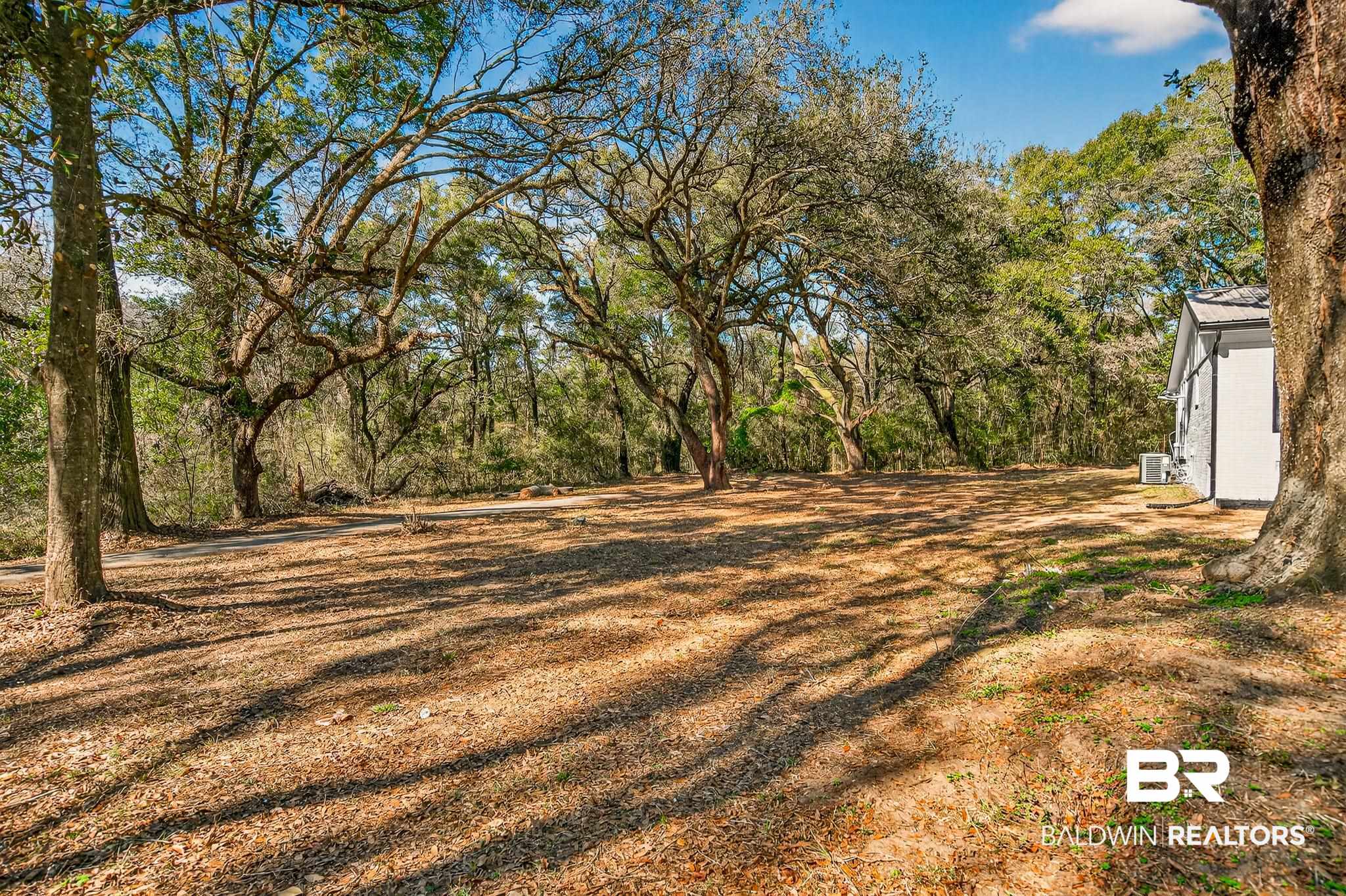 10650 Old Pascagoula Road Theodore, AL 36582 - Photo 4 of 77 View of yard