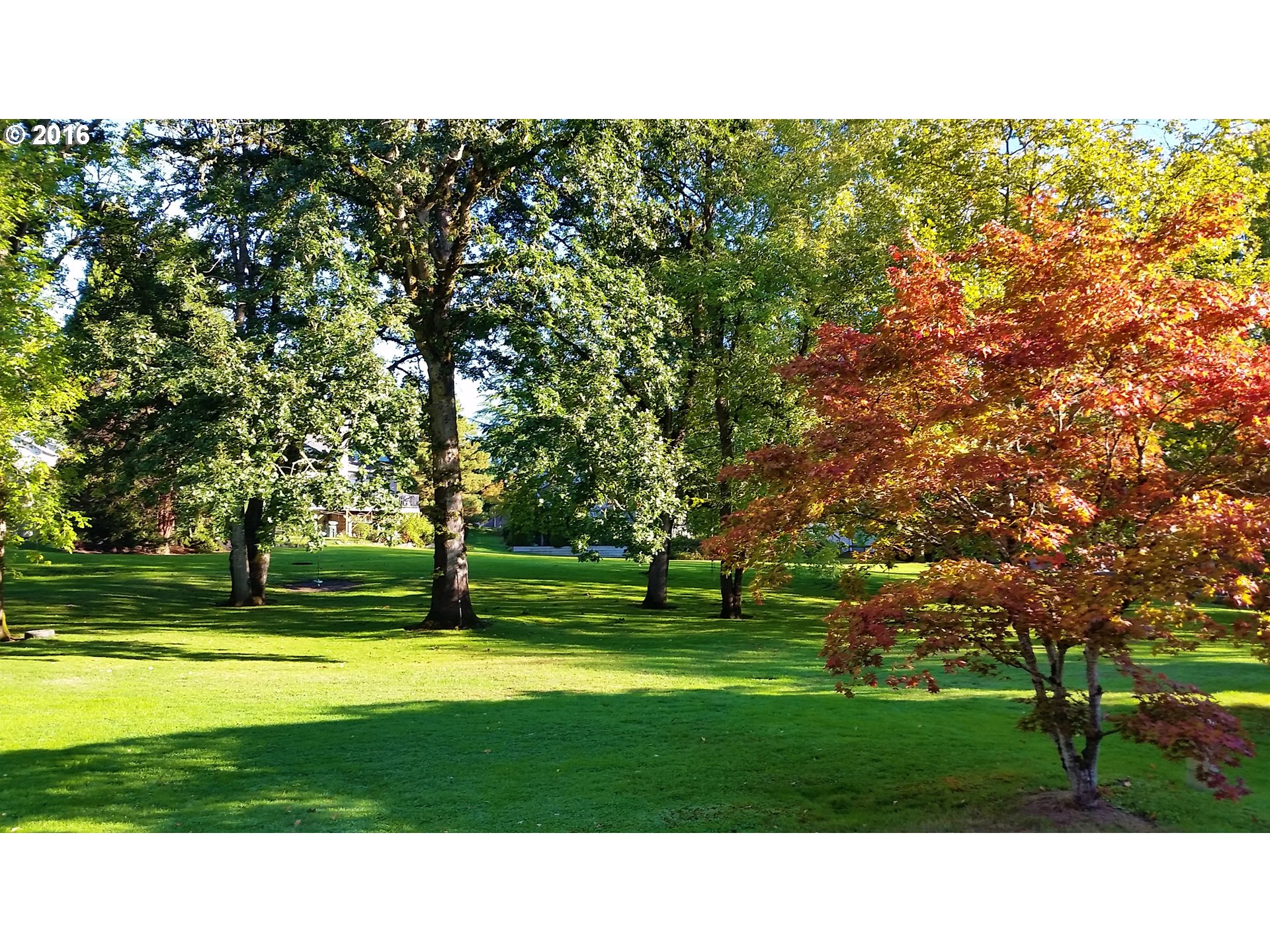 1173 Northwest Weybridge Way Beaverton, OR 97006 - Photo 12 of 12 a view of a park with large trees