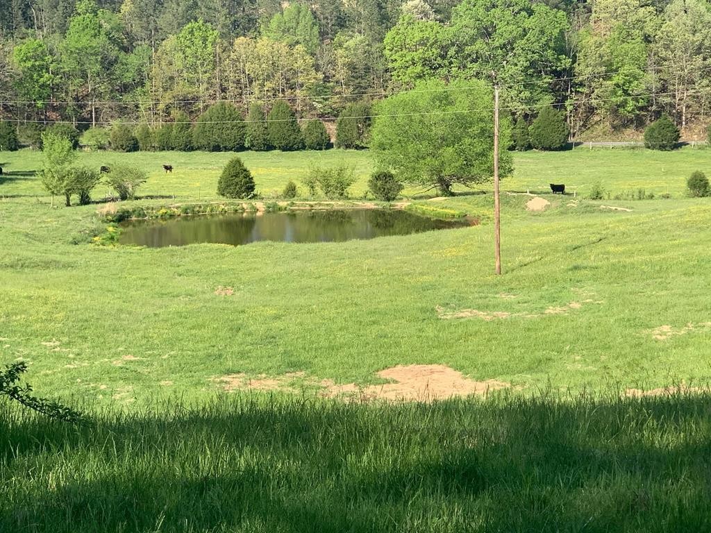 1051 Tom Garrison Road Evensville, TN 37332 - Photo 1 of 23 Gallery Image 1