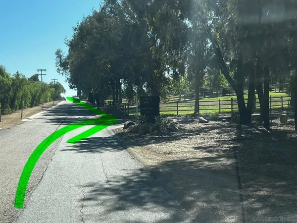 a view of a park with tree s