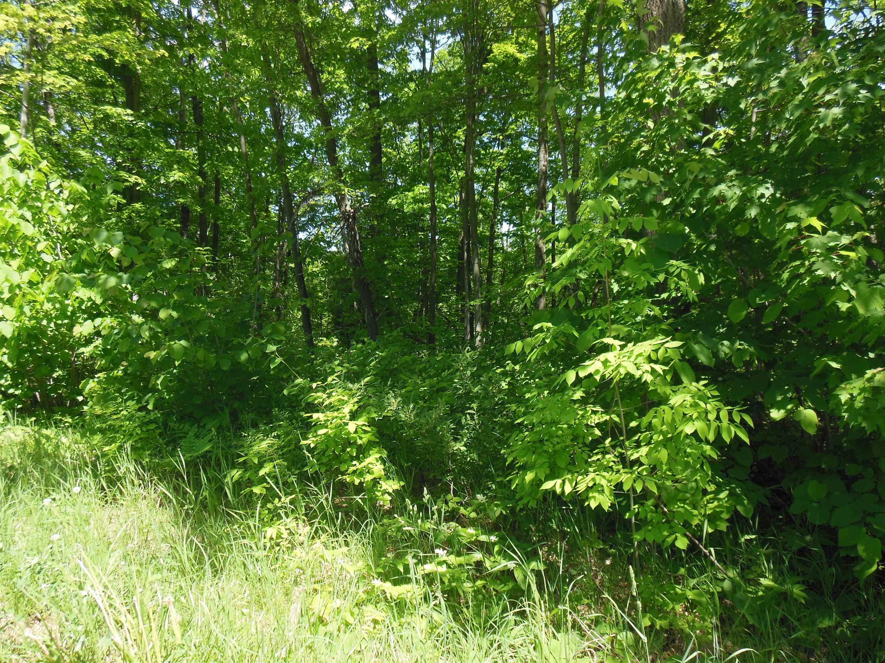 Lot 26 Rodgers Road Harrison, MI 48625 - Photo 4 of 7