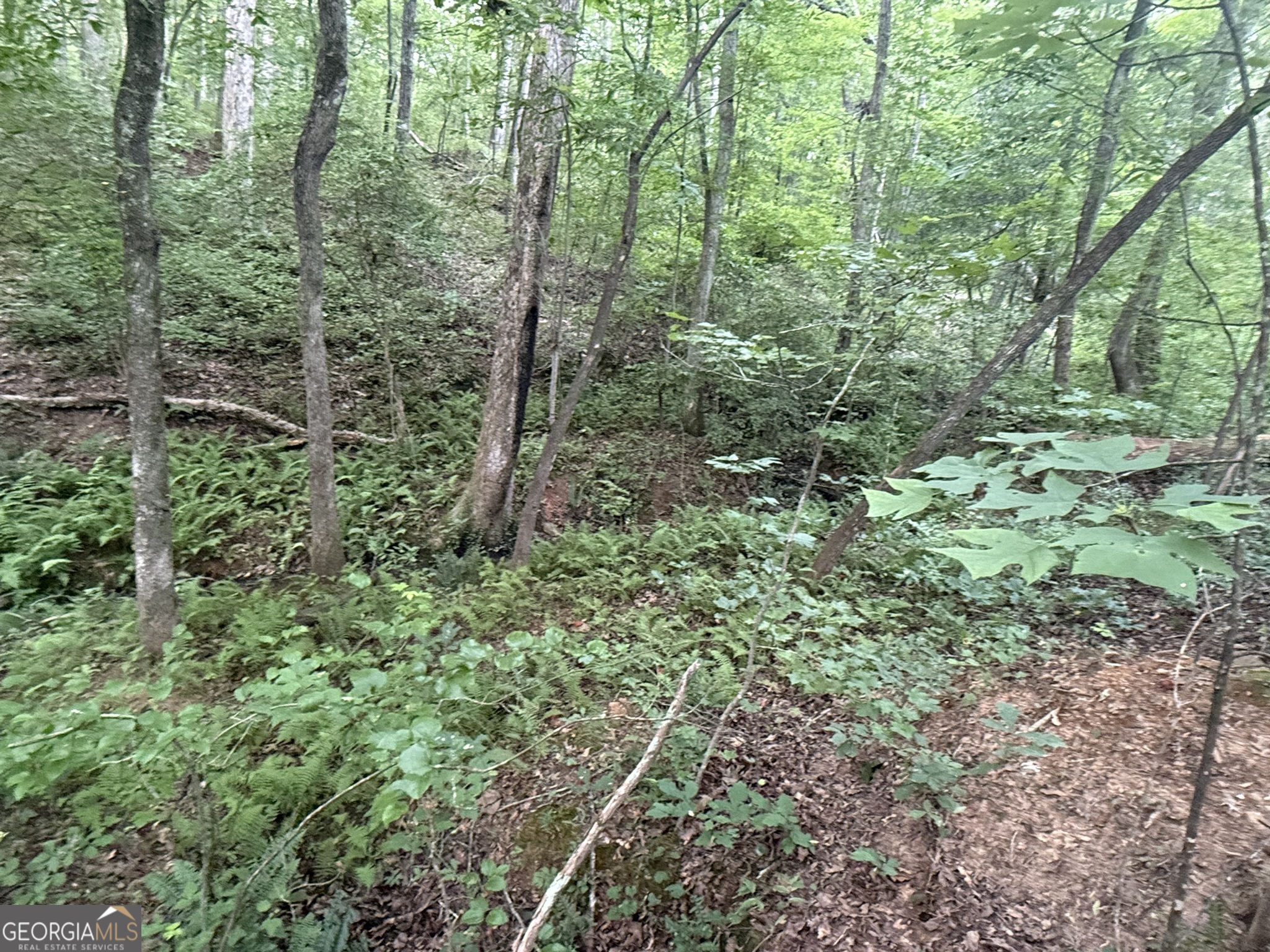0 Cartbody Road Carrollton, GA 30116 - Photo 11 of 24