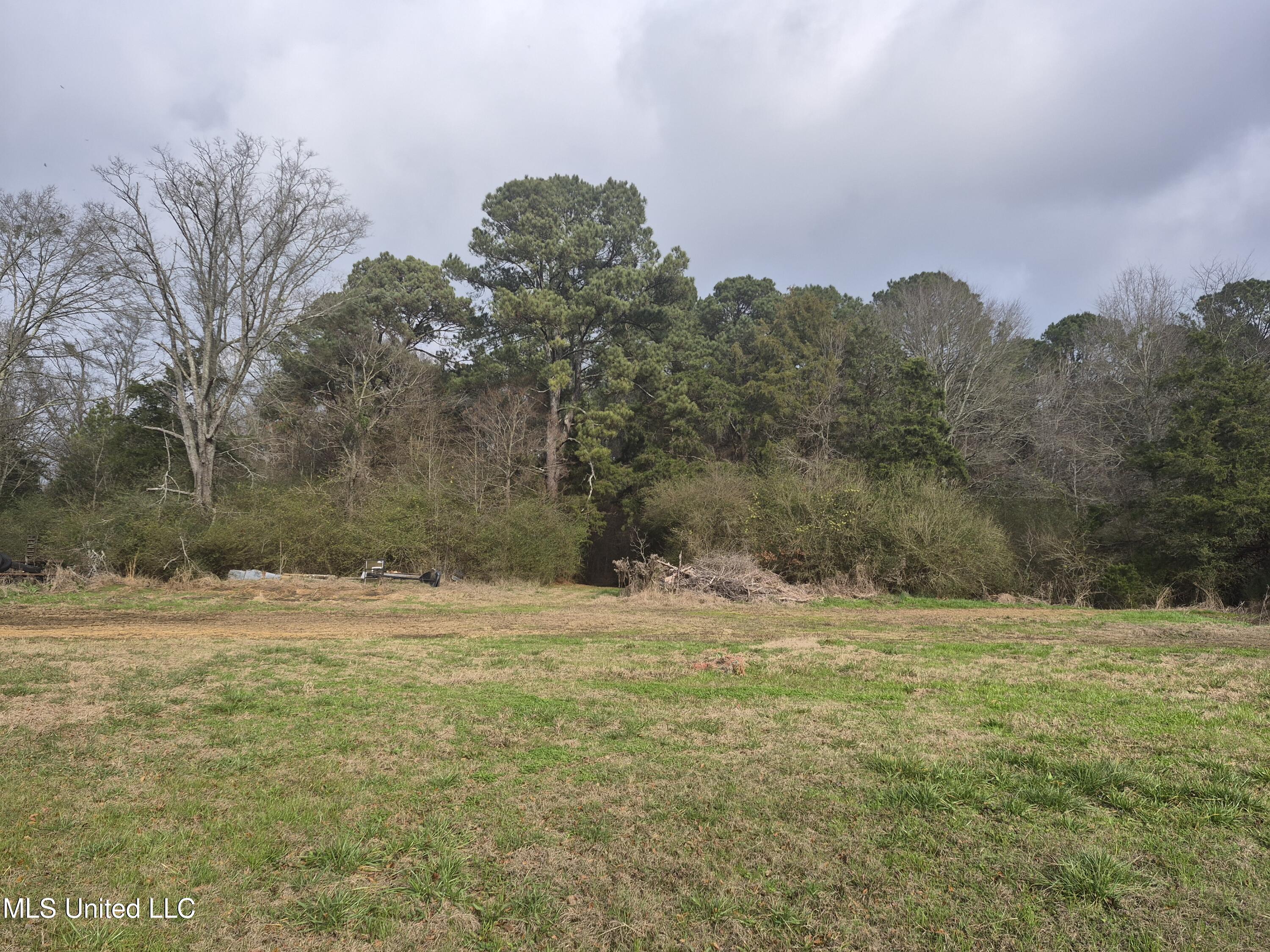 Pine Grove Road Walnut Grove, MS 39189 - Photo 7 of 9 7706
