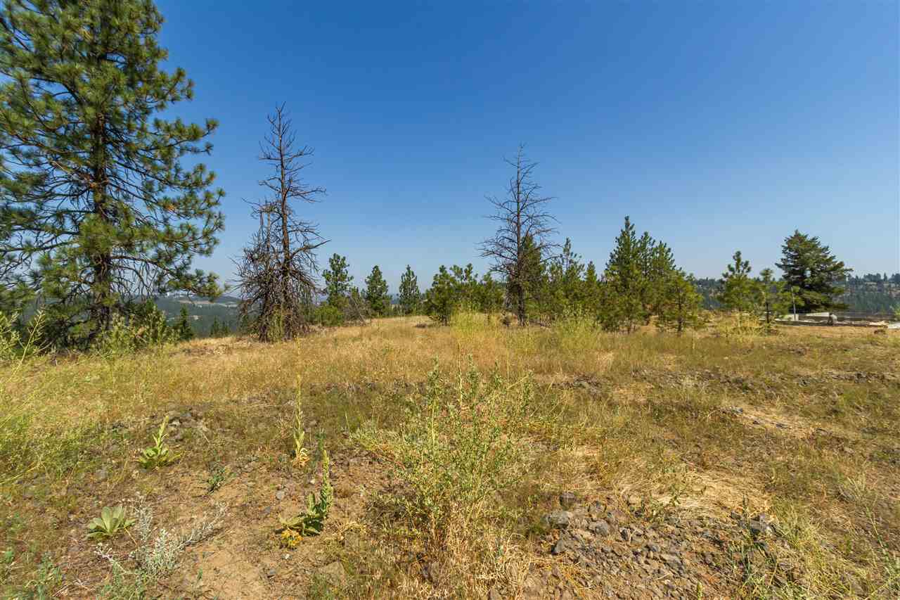 5212 South Falcon Point Spokane, WA 99224 - Photo 2 of 21 Gallery Image 2
