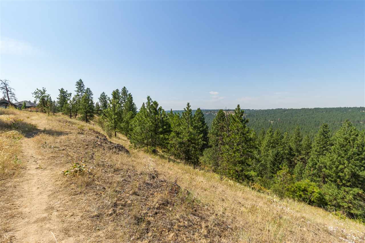 5212 South Falcon Point Spokane, WA 99224 - Photo 11 of 21 Gallery Image 11
