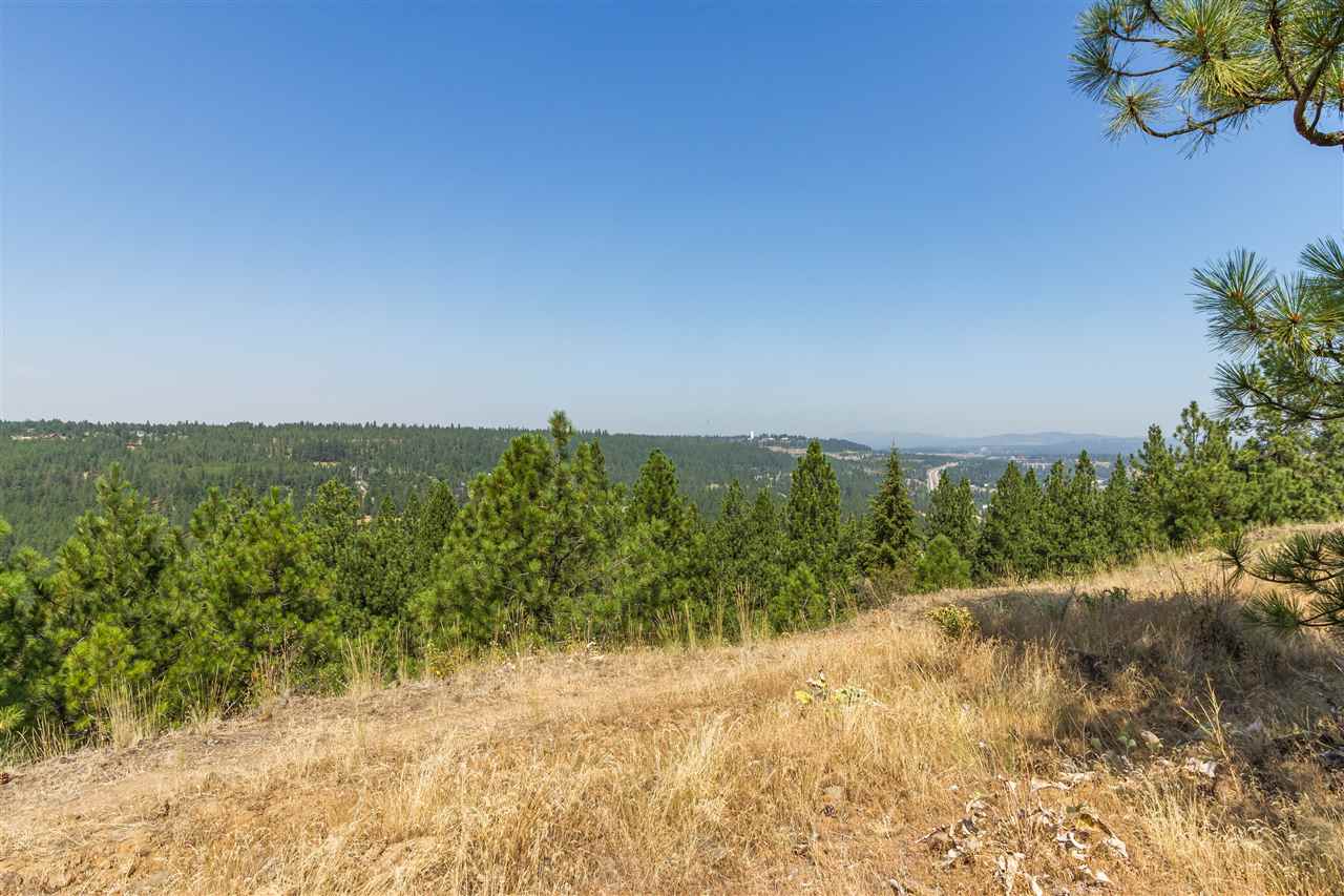 5212 South Falcon Point Spokane, WA 99224 - Photo 3 of 21 Gallery Image 3