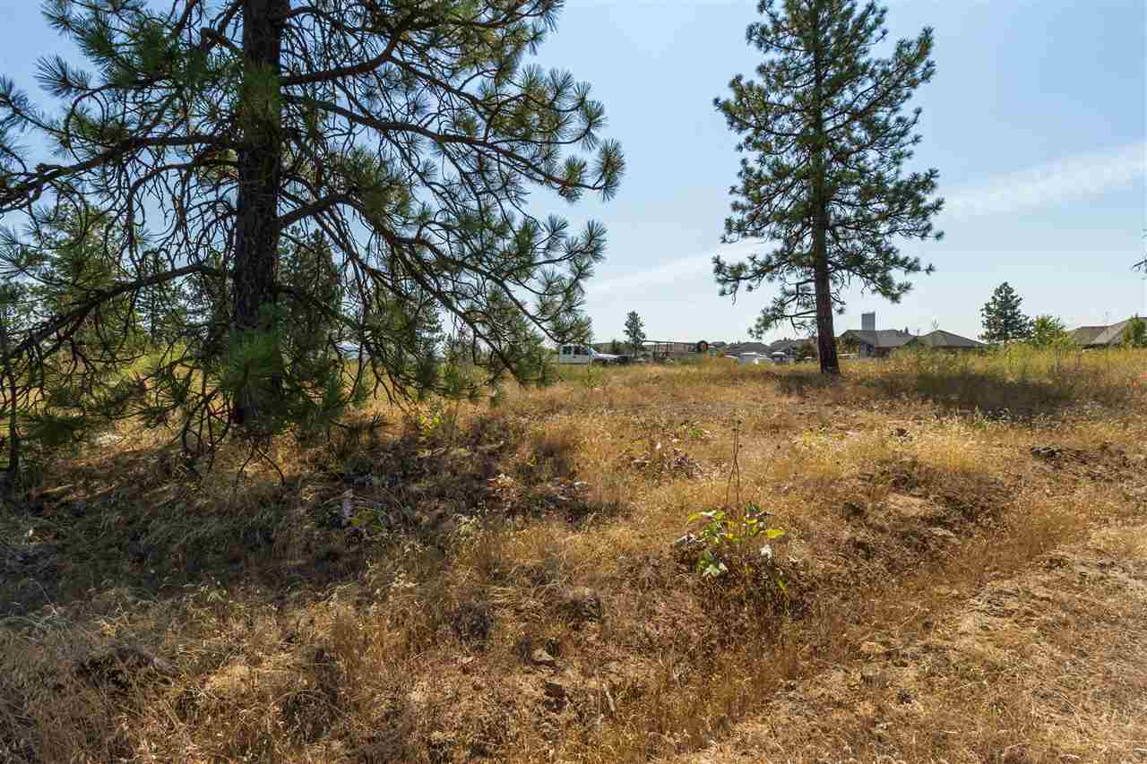 5212 South Falcon Point Spokane, WA 99224 - Photo 5 of 21 Gallery Image 5