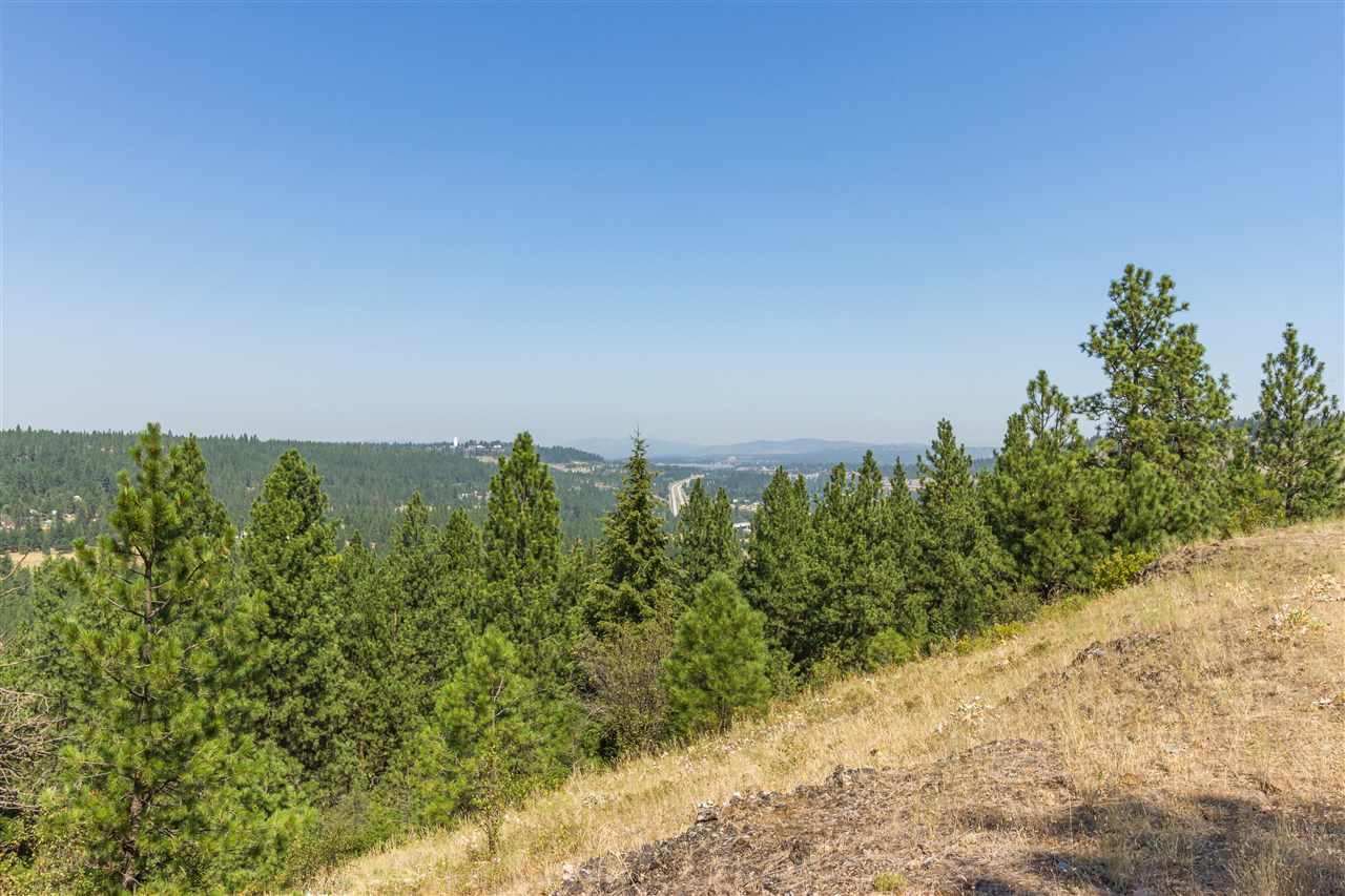 5212 South Falcon Point Spokane, WA 99224 - Photo 6 of 21 Gallery Image 6