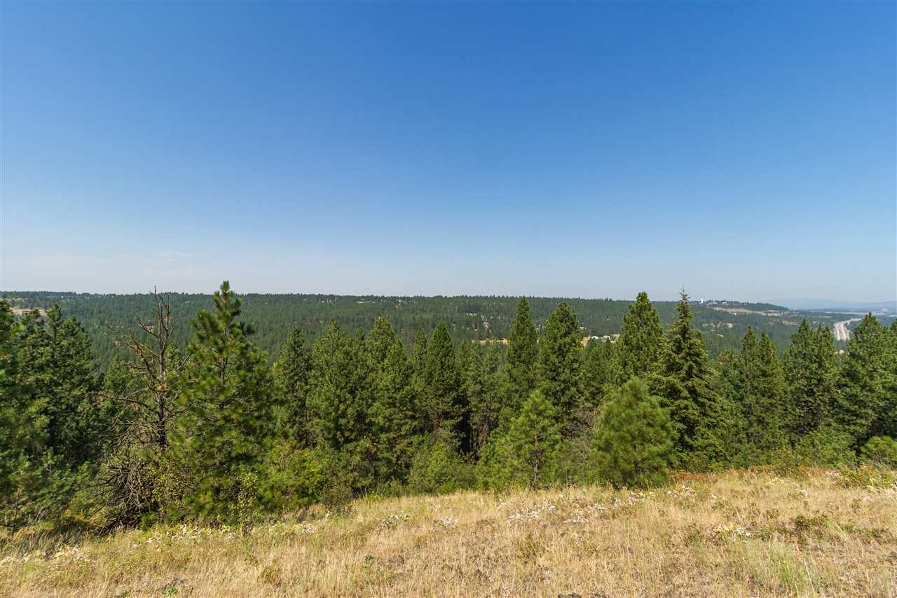 5212 South Falcon Point Spokane, WA 99224 - Photo 8 of 21 Gallery Image 8