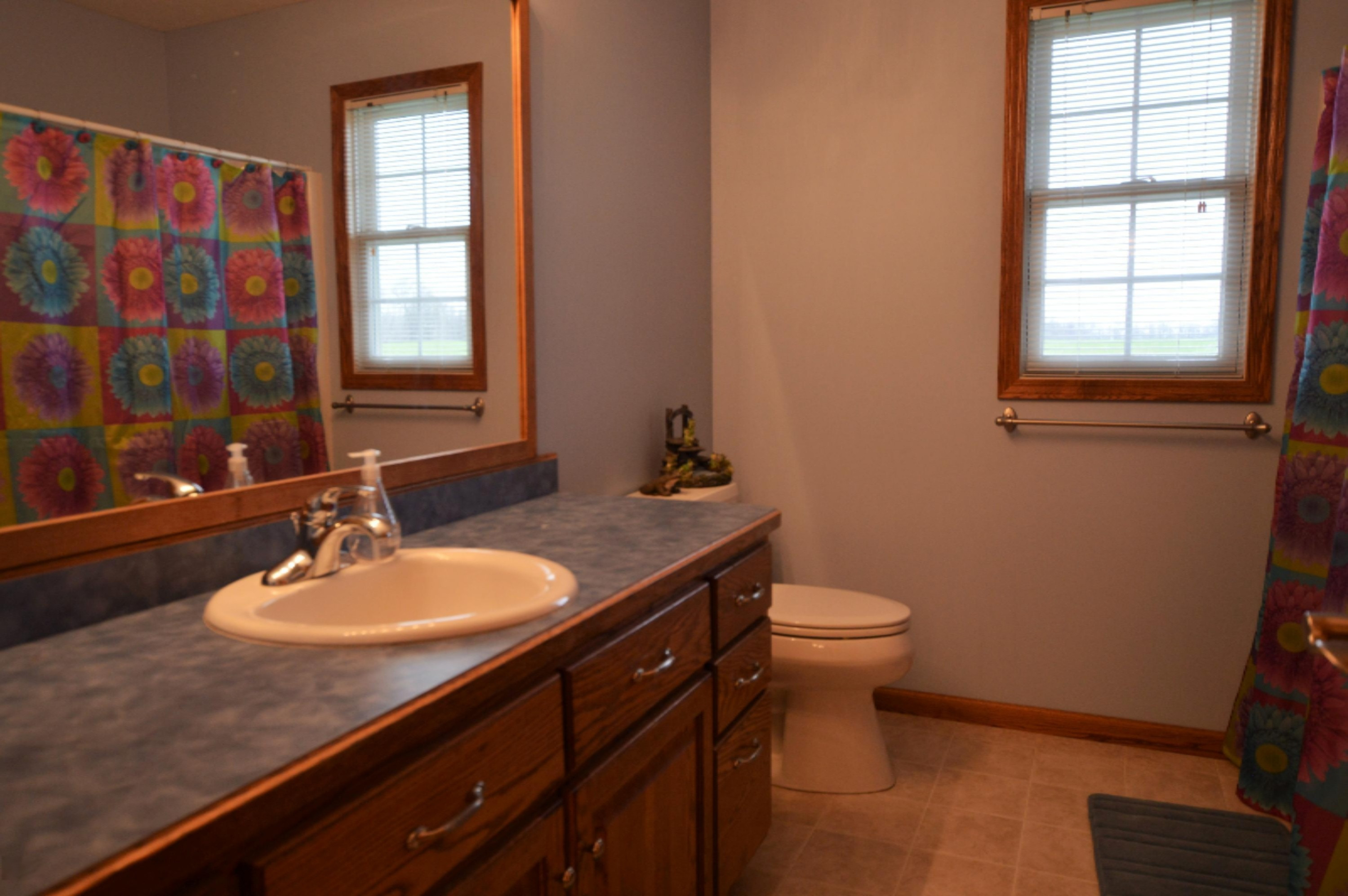 9641 Butler Road Portland, MI 48875 - Photo 17 of 25 DSC_0046