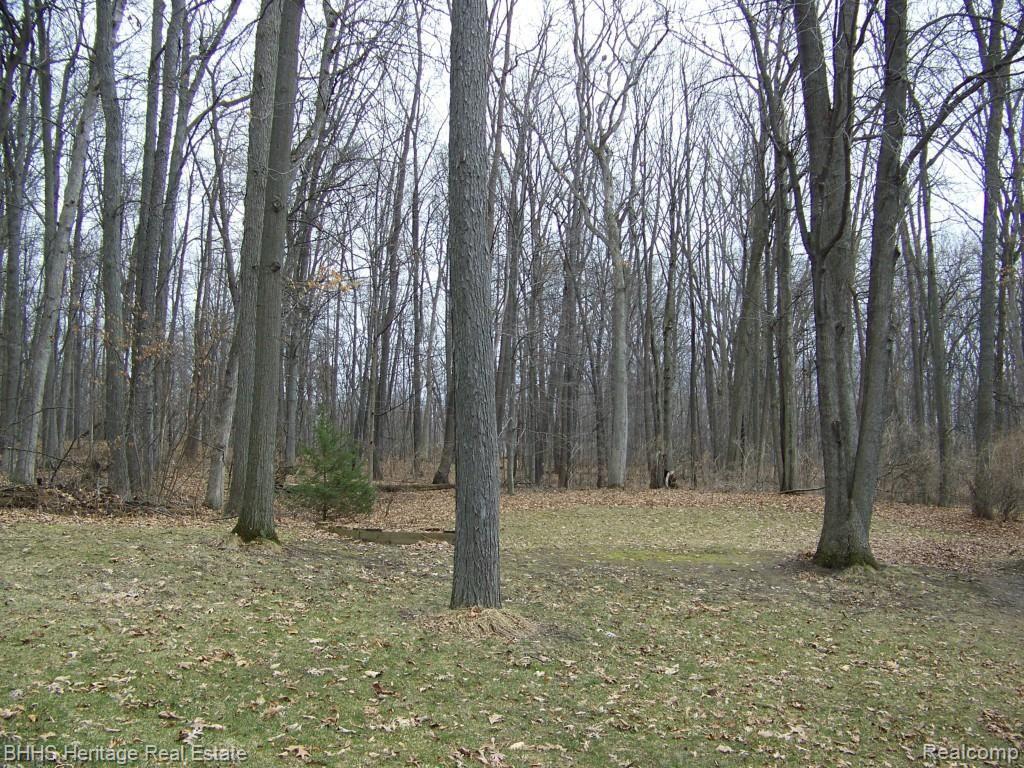 5353 Dutton Road Gregory, MI 48137 - Photo 42 of 42 100_4925.jpg