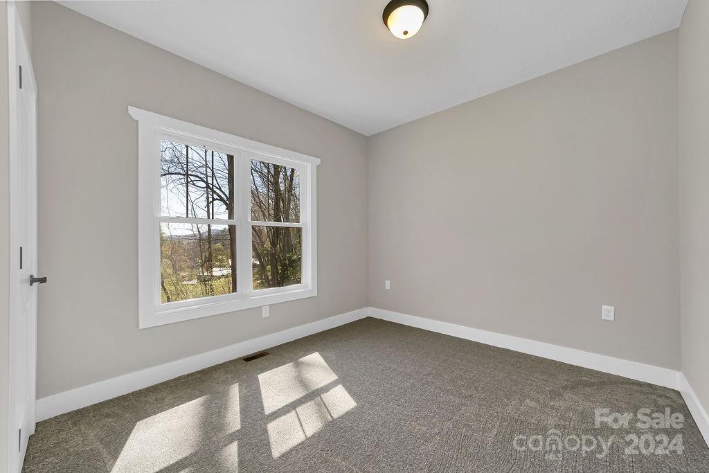 219 Trent Road Brevard, NC 28712 - Photo 23 of 37 Gallery Image 23