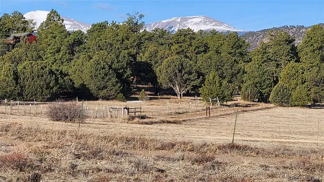 $29,500 | Tr-36 23rd Trail, Cotopaxi, CO 81223