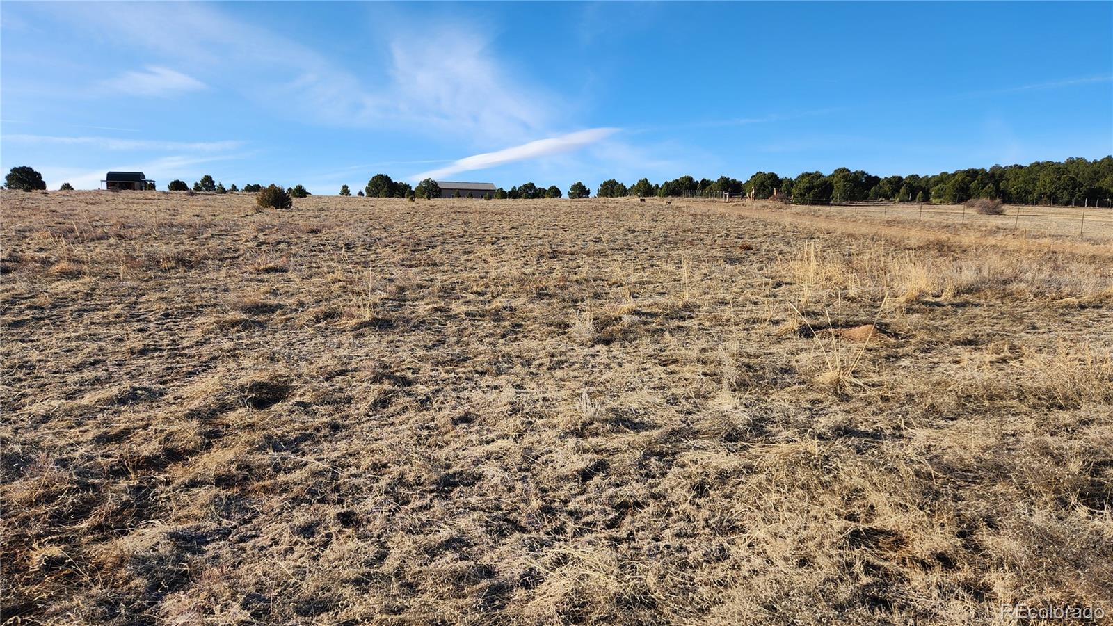 Tr-36 23rd Trail Cotopaxi, CO 81223 - Photo 13 of 20