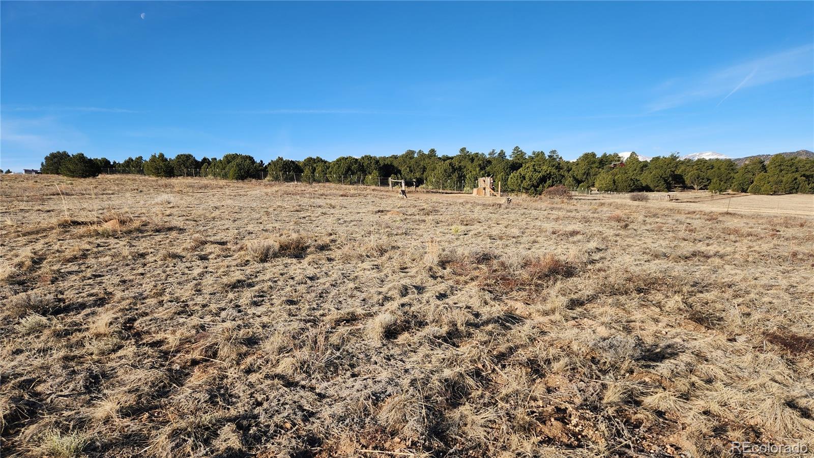 Tr-36 23rd Trail Cotopaxi, CO 81223 - Photo 3 of 20