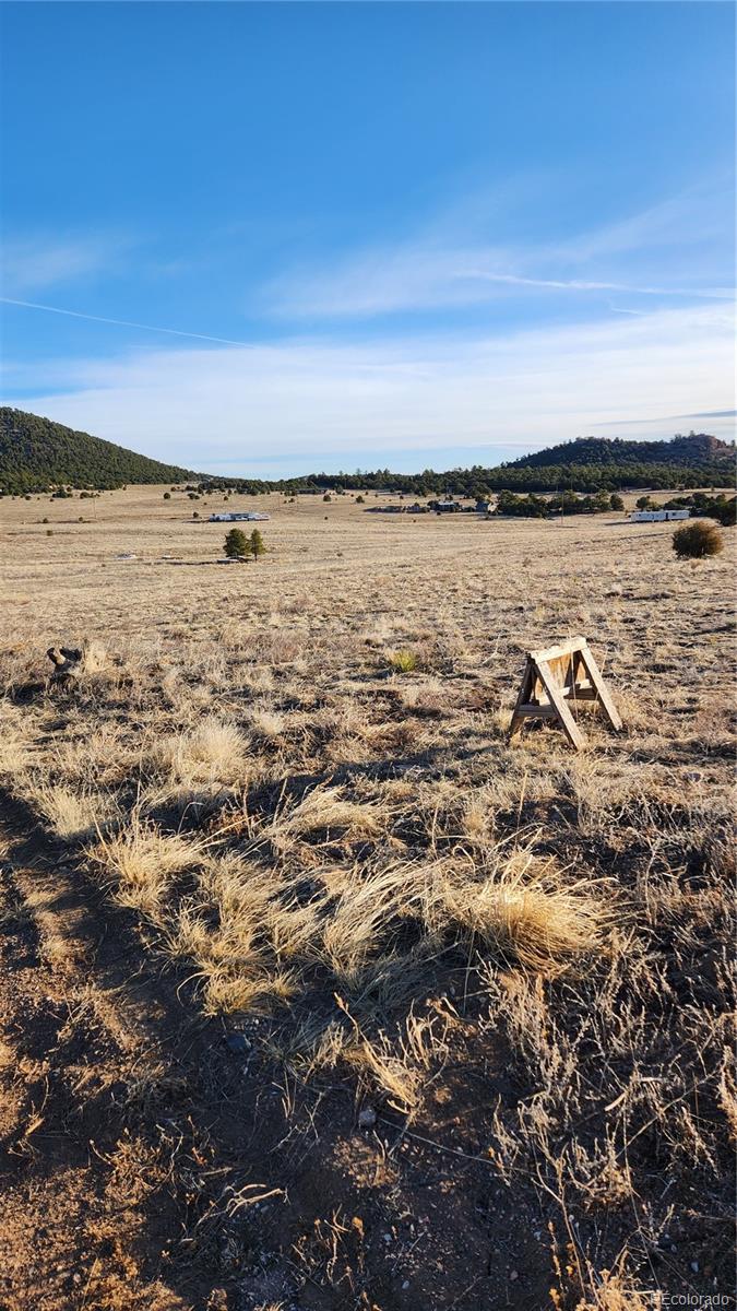Tr-36 23rd Trail Cotopaxi, CO 81223 - Photo 7 of 20