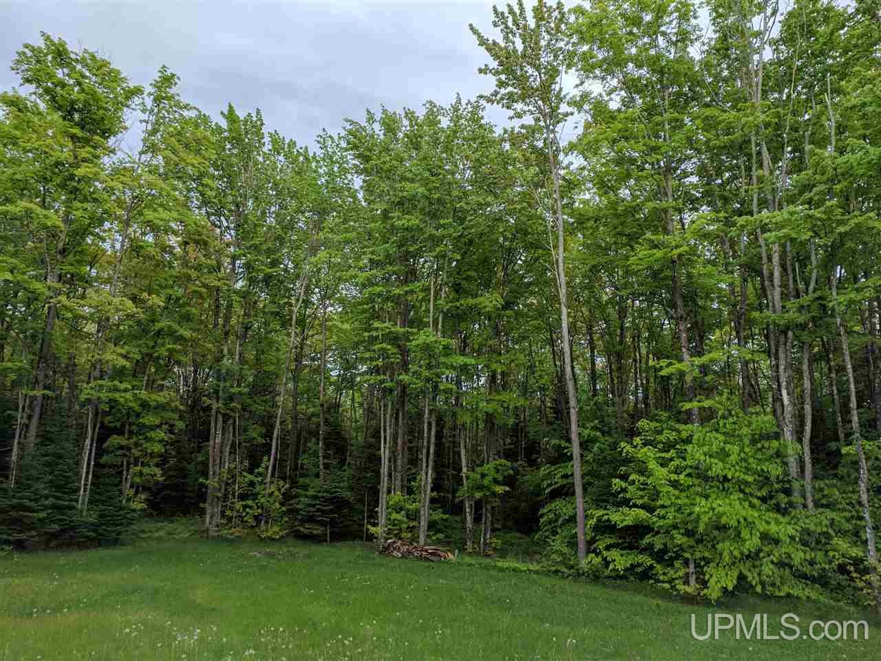 7368 Rosemund Road Shingleton, MI 49884 - Photo 32 of 36