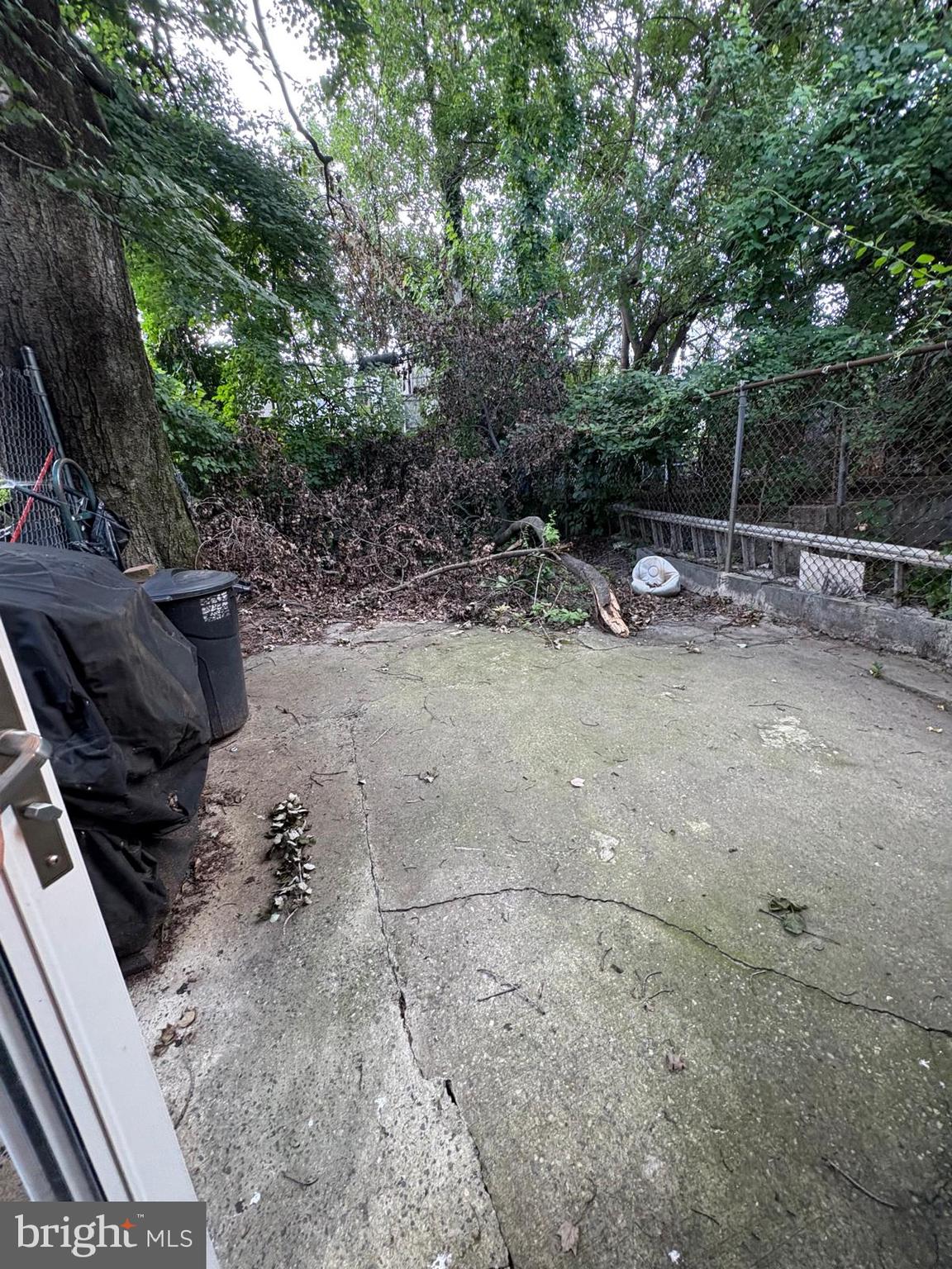 2832 Ormes Street Philadelphia, PA 19134 - Photo 26 of 28 a view of a backyard with plants and trees