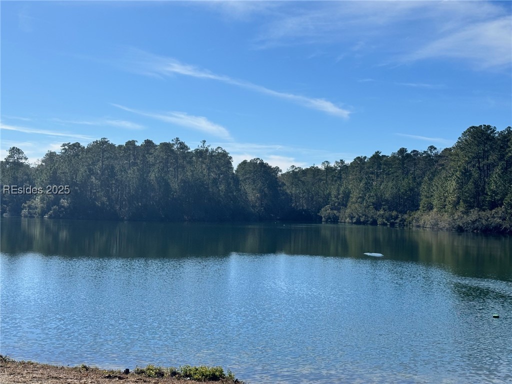 61 Headwaters Road Bluffton, SC 29910 - Photo 1 of 1 Gallery Image 1