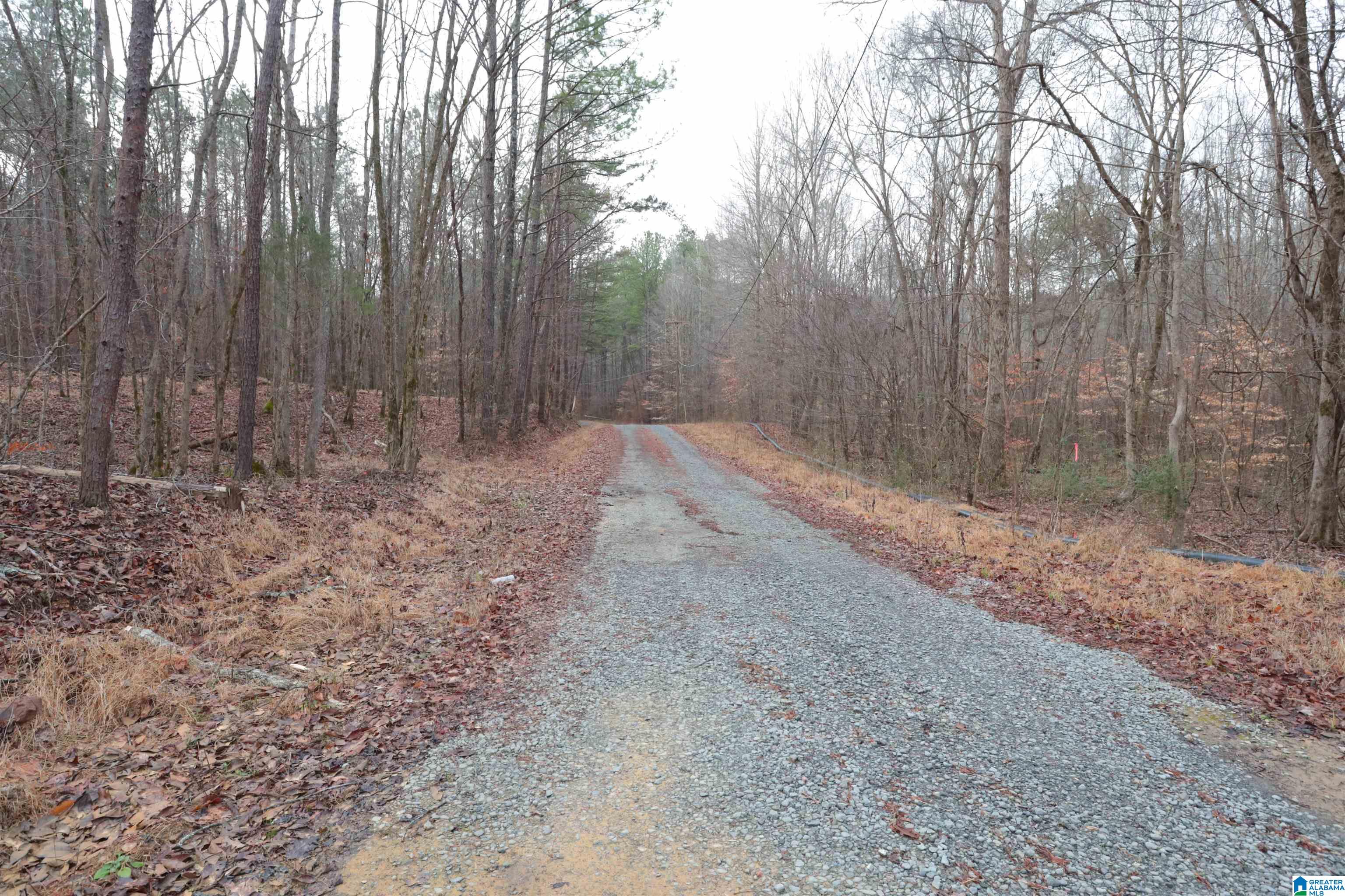 8751 Groundhog Road, Unit 41 ACRES Adger, AL 35006 - Photo 11 of 17
