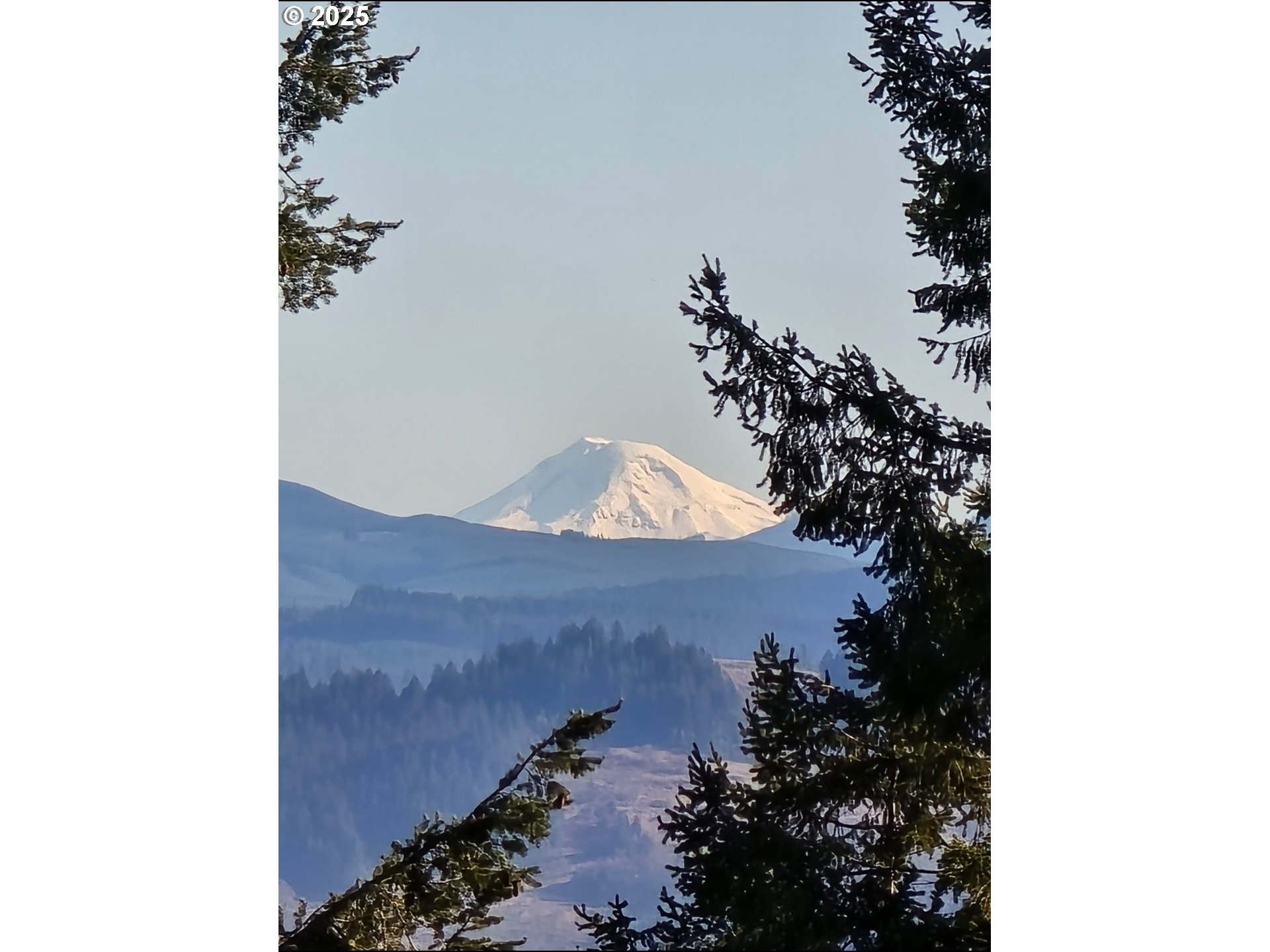 626 Startouch Drive Eugene, OR 97405 - Photo 43 of 44