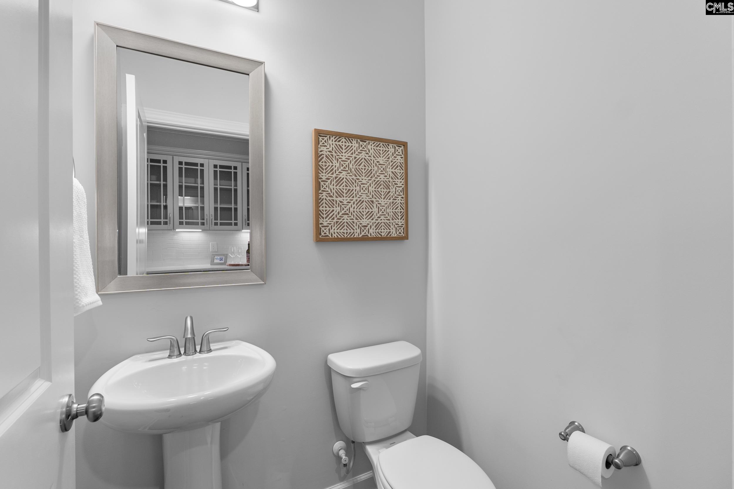 814 Dutchmaster Drive Chapin, SC 29036 - Photo 17 of 29