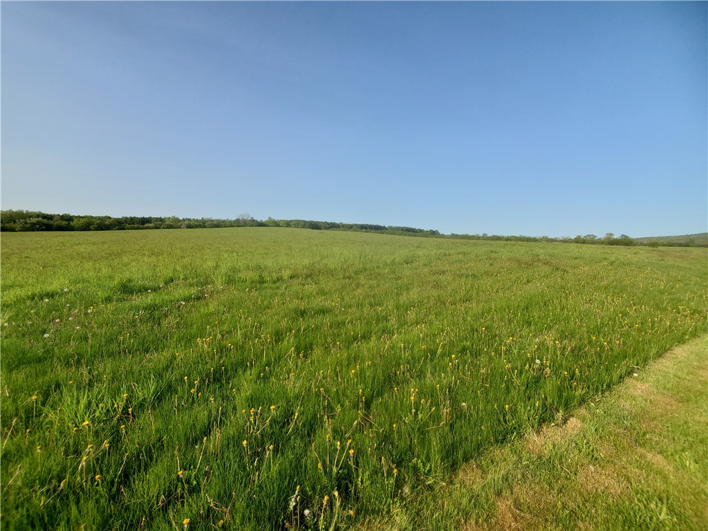 4615 Lane Road Reading, NY 14878 - Photo 13 of 47