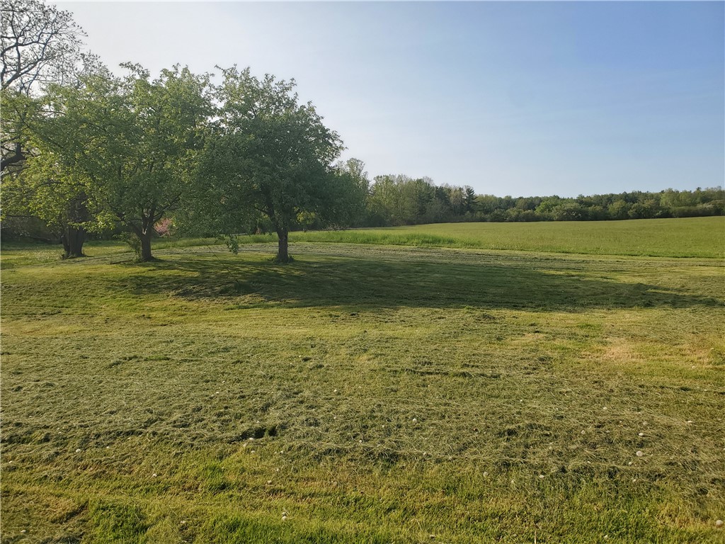 4615 Lane Road Reading, NY 14878 - Photo 14 of 47