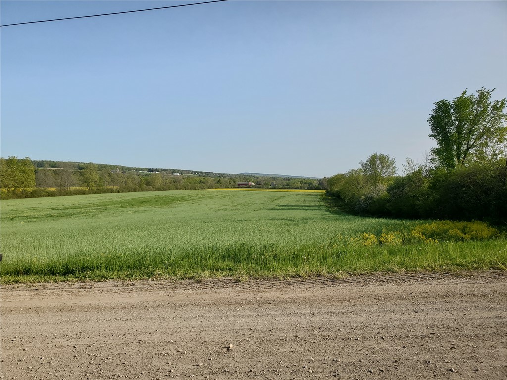 4615 Lane Road Reading, NY 14878 - Photo 20 of 47