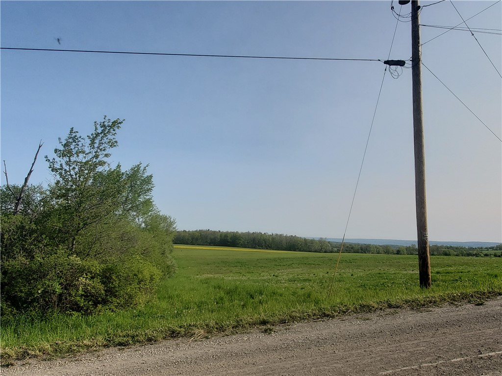 4615 Lane Road Reading, NY 14878 - Photo 21 of 47