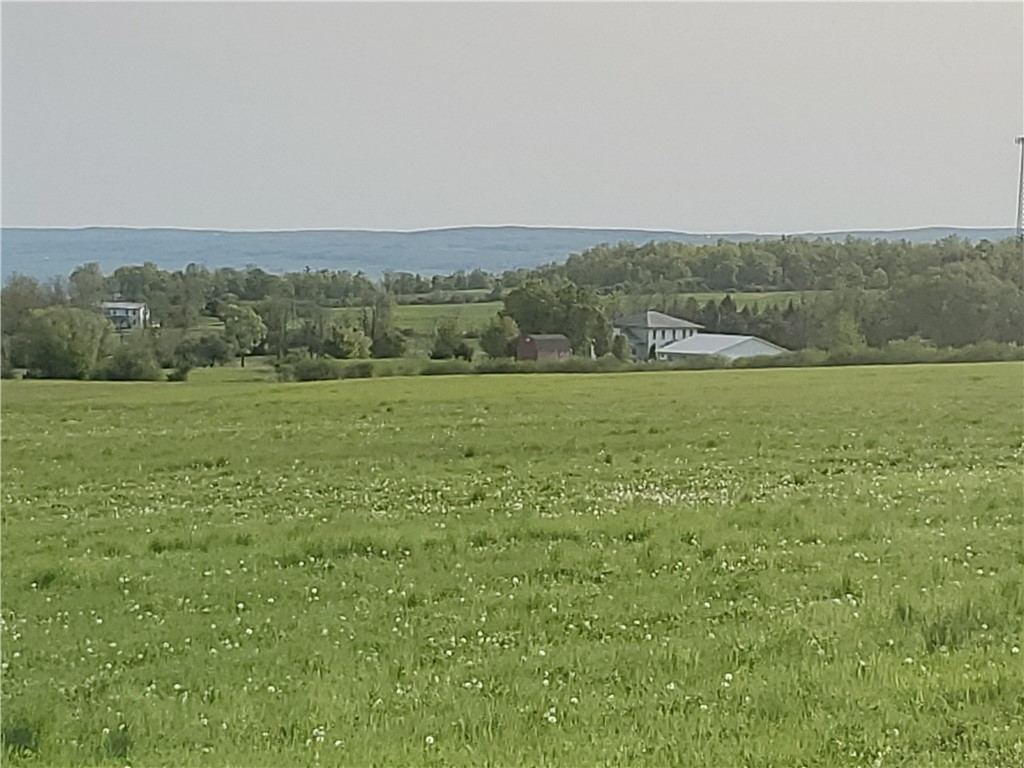 4615 Lane Road Reading, NY 14878 - Photo 22 of 47