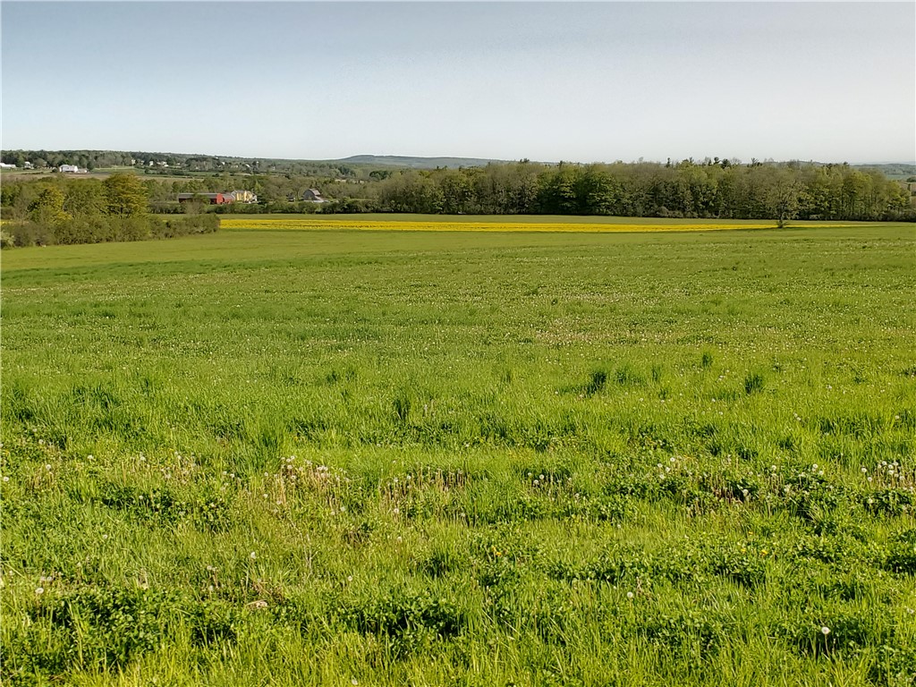 4615 Lane Road Reading, NY 14878 - Photo 23 of 47