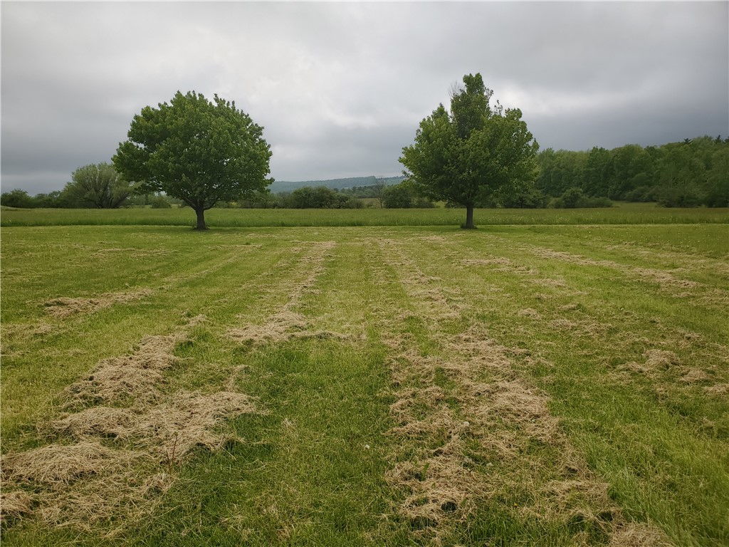 4615 Lane Road Reading, NY 14878 - Photo 47 of 47