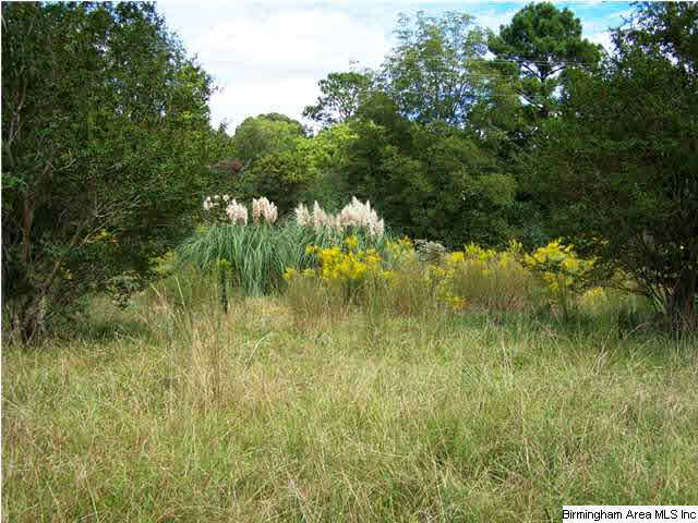 2231 Camp Brownie Road, Unit 5 AC Sylacauga, AL 35151 - Photo 5 of 15