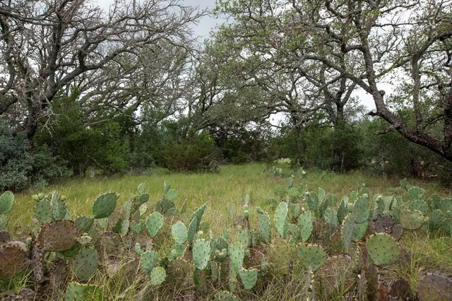 $134,500 | 1632 Link, Unit 1, Doss, TX 78618