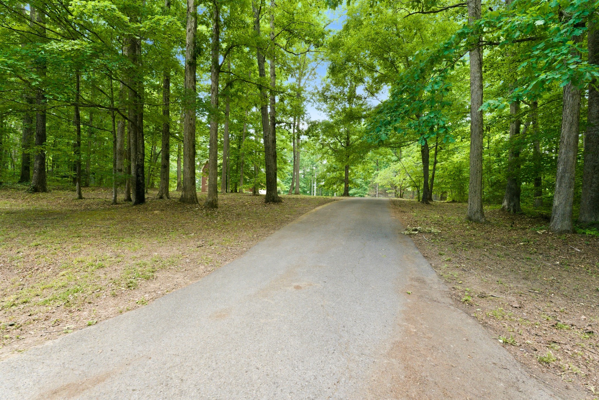 957 Ford Road White Bluff, TN 37187 - Photo 2 of 60