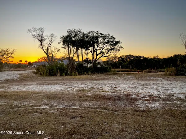 a view of dirt field with trees