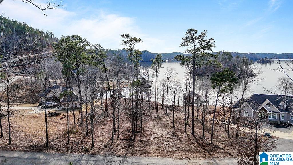 2147 Eagle Mountain Road, Unit 12 Rockford, AL 35136 - Photo 3 of 22