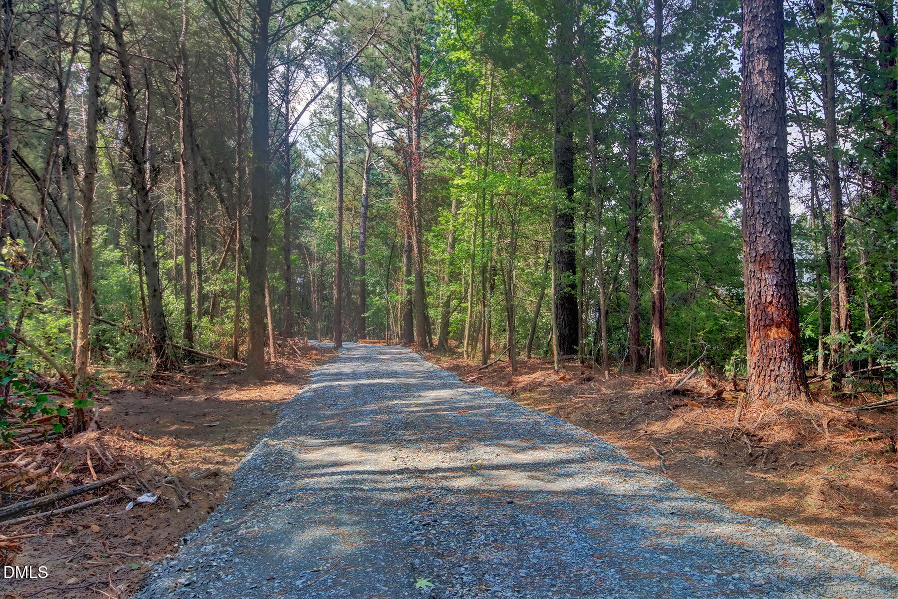 0 Rumley Road Graham, NC 27253 - Photo 3 of 5 Lot 1-B drive