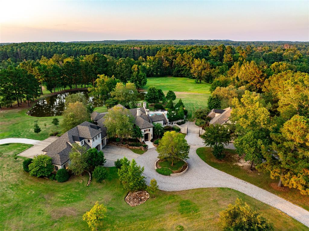 325 Young Road Hallsville, TX 75650 - Photo 3 of 39 an aerial view of residential houses with outdoor space and trees all around