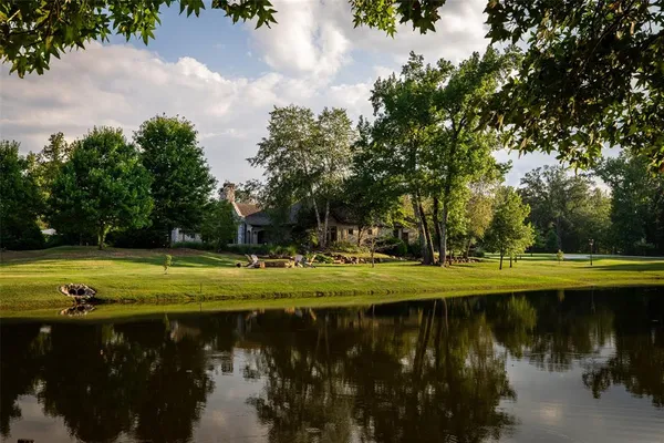 a view of a lake with a large trees