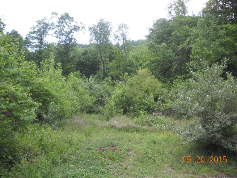 1111 Steele Hollow Road Corbin, KY 40701 - Photo 3 of 9 Photo 3