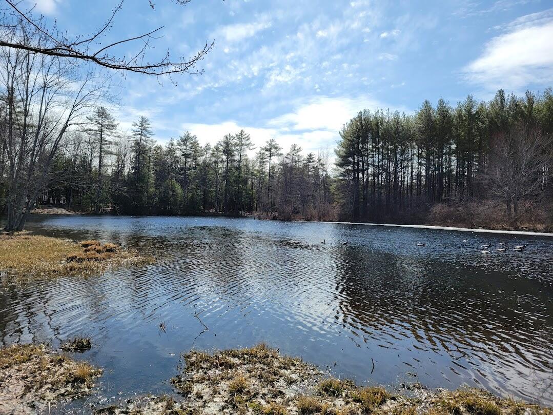 0 Hay Brook Road Alfred, ME 04002 - Photo 15 of 19 20220328_111438
