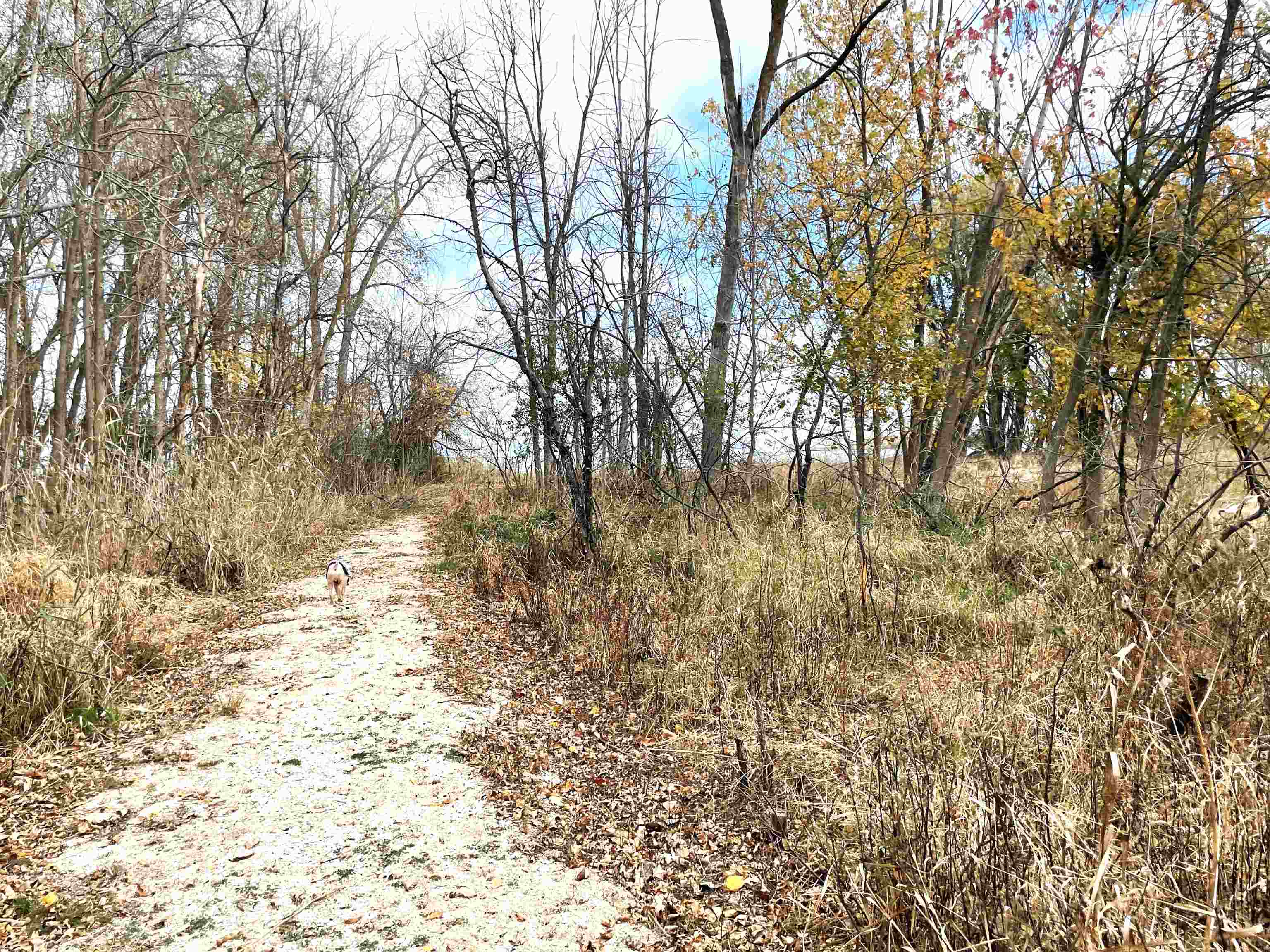 811 Bay Road Bay City, MI 48706 - Photo 14 of 66 Gallery Image 14