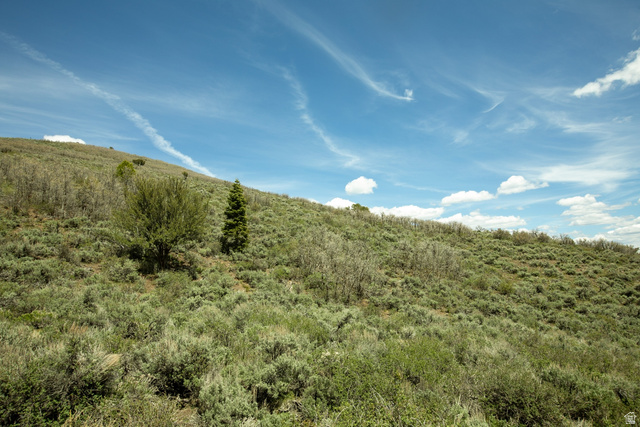 1646 North Miles Holw Road, Unit 29 Kamas, UT 84036 - Photo 18 of 35 Expansive hillside property featuring natural vegetation and a clear blue sky