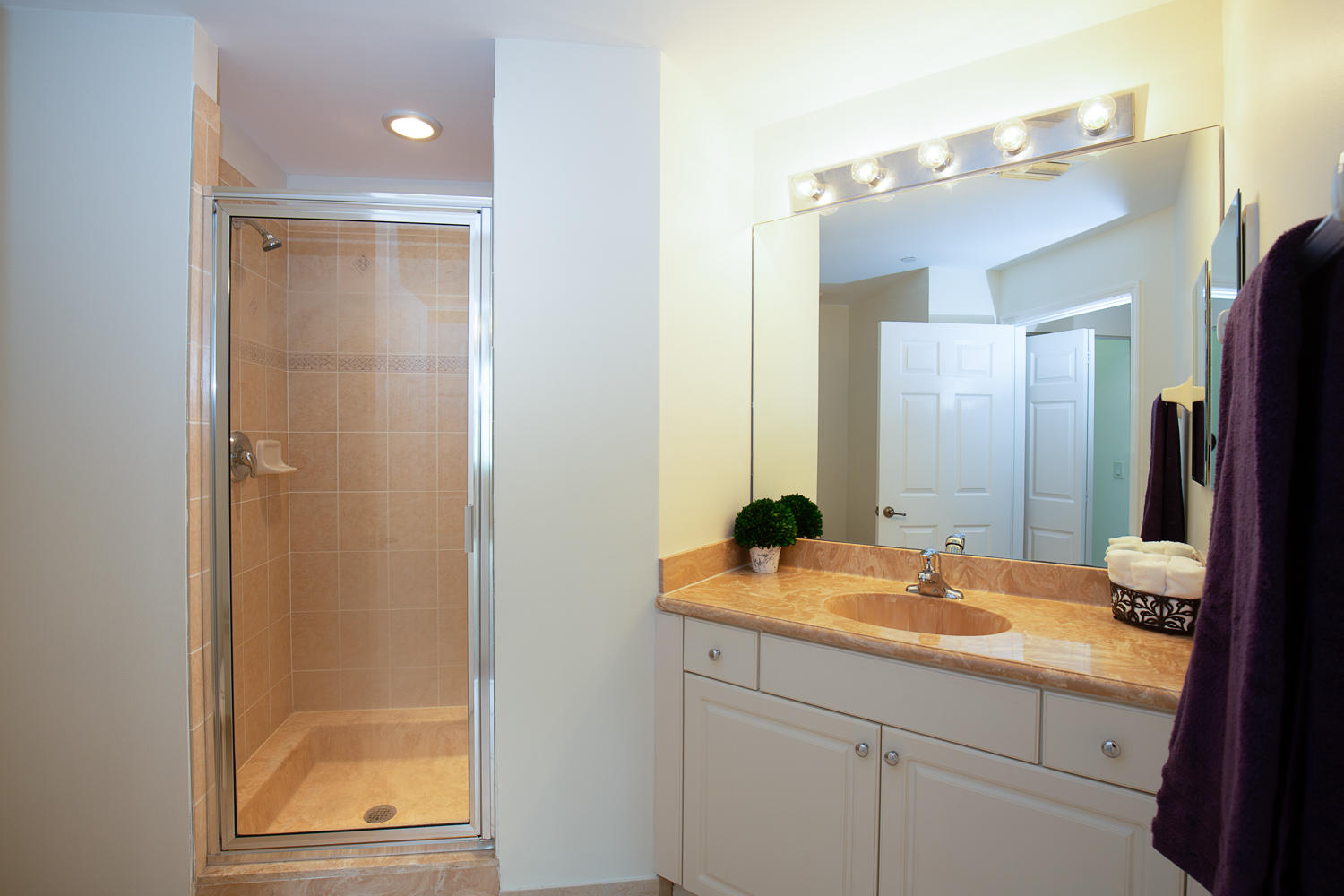 1605 Renaissance Commons Boulevard, Unit 333 Boynton Beach, FL 33426 - Photo 10 of 25 Master Bathroom
